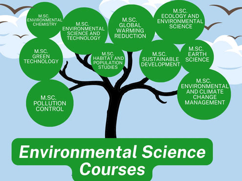 ENVIROMENTAL SCIENCE ENVIROMENTAL SCIENCE