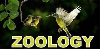 ZOOLOGY ZOOLOGY