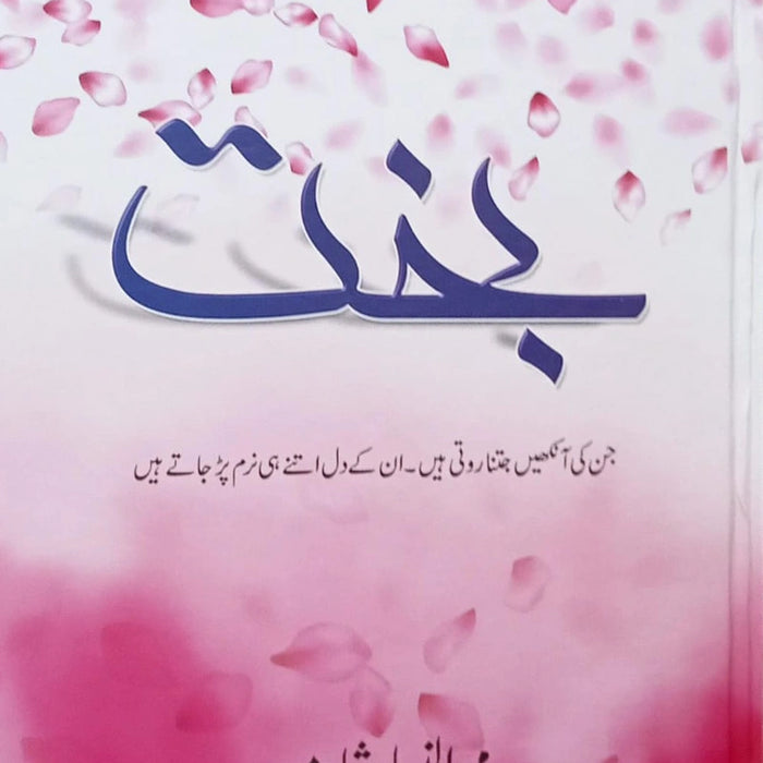 Bakht / بخت by Mehrulnisa Shahmeer Bakht / بخت by Mehrulnisa Shahmeer