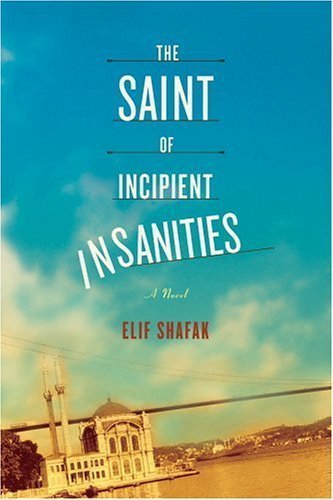 The Saint of Incipient Insanities: A Novel The Saint of Incipient Insanities: A Novel