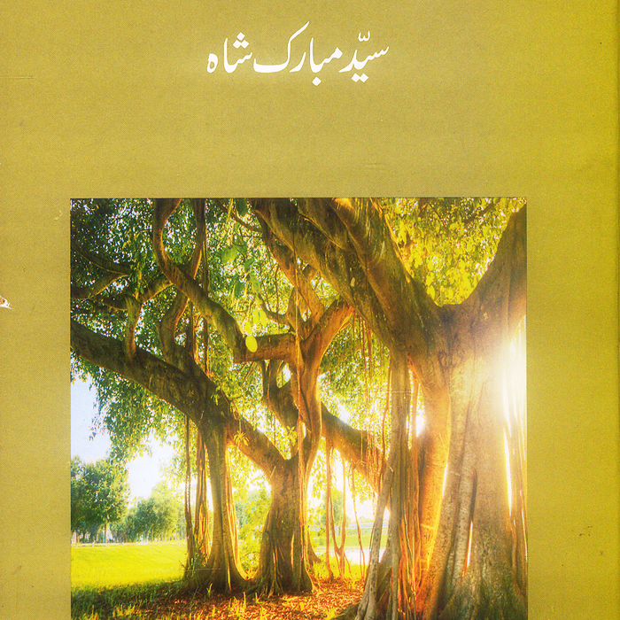 Bargad Ki Dhoop Mai - برگد کی دھوپ میں by Syed Mubarak Shah Bargad Ki Dhoop Mai - برگد کی دھوپ میں by Syed Mubarak Shah