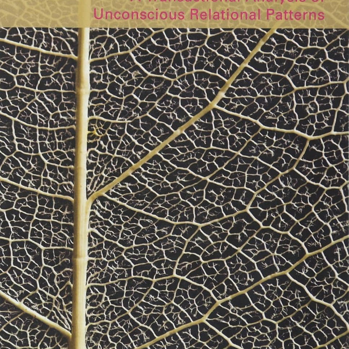 Life Scripts 1st Edition By Richard G Erskine Life Scripts 1st Edition By Richard G Erskine