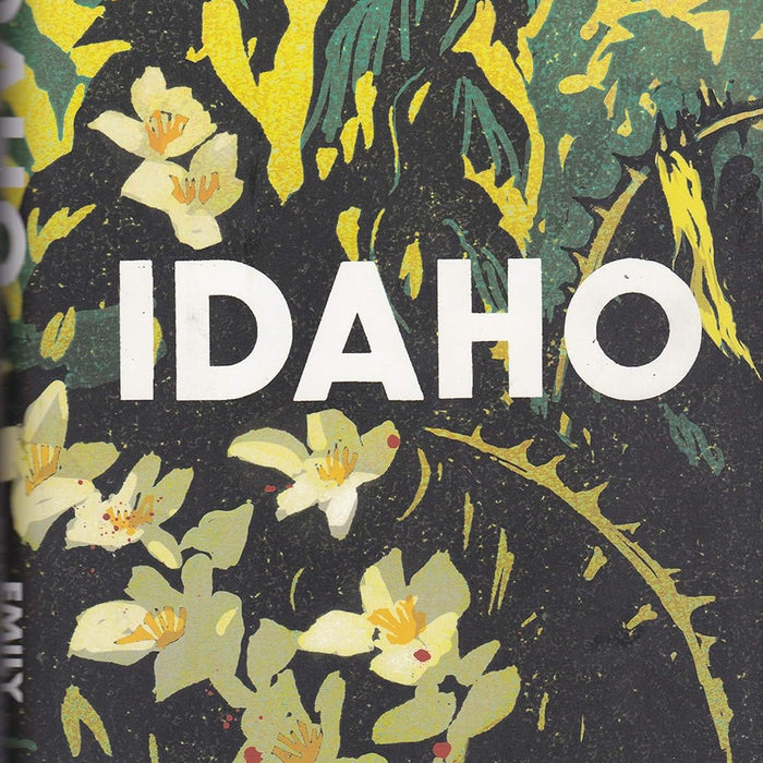 Idaho: A Novel  Idaho: A Novel