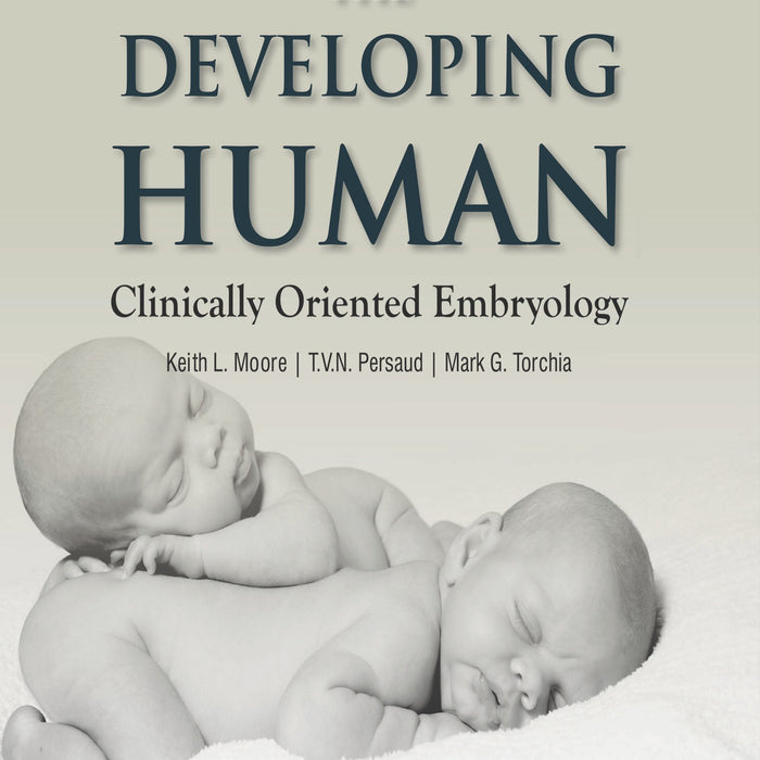 The Developing Human The Developing Human