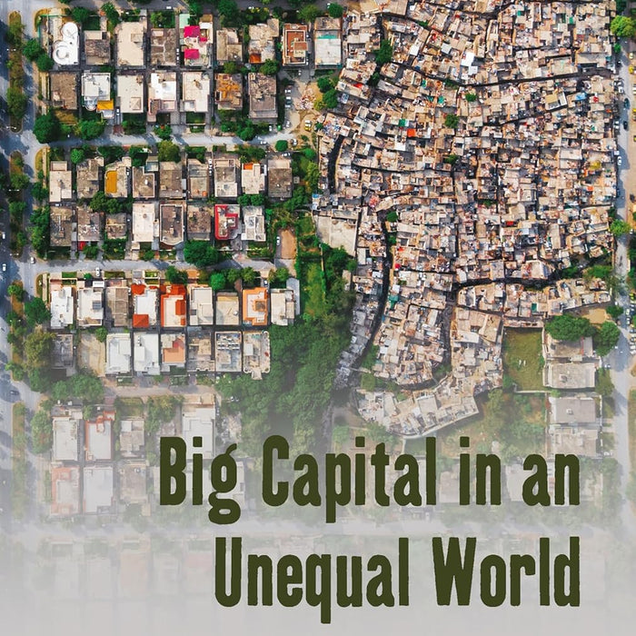 Big Capital in an Unequal World: The Micropolitics of Wealth in Pakistan Big Capital in an Unequal World: The Micropolitics of Wealth in Pakistan