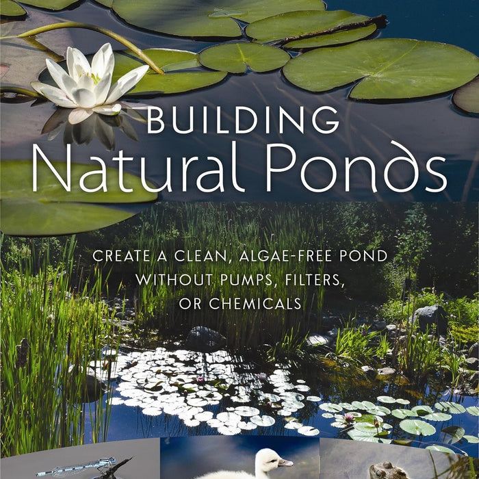 Building Natural Ponds: Create a Clean, Algae-free Pond without Pumps, Filters, or Chemical Building Natural Ponds: Create a Clean, Algae-free Pond without Pumps, Filters, or Chemical