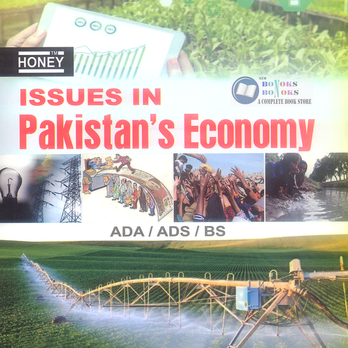 Issues In Pakistan's Economy For ADA ADS BS Issues In Pakistan's Economy For ADA ADS BS
