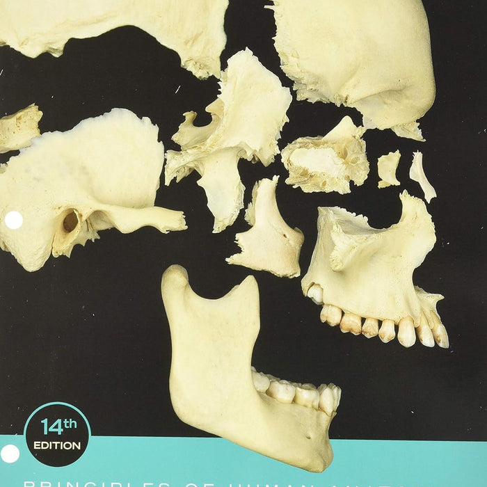 Principles of Human Anatomy 14th Edition Principles of Human Anatomy 14th Edition
