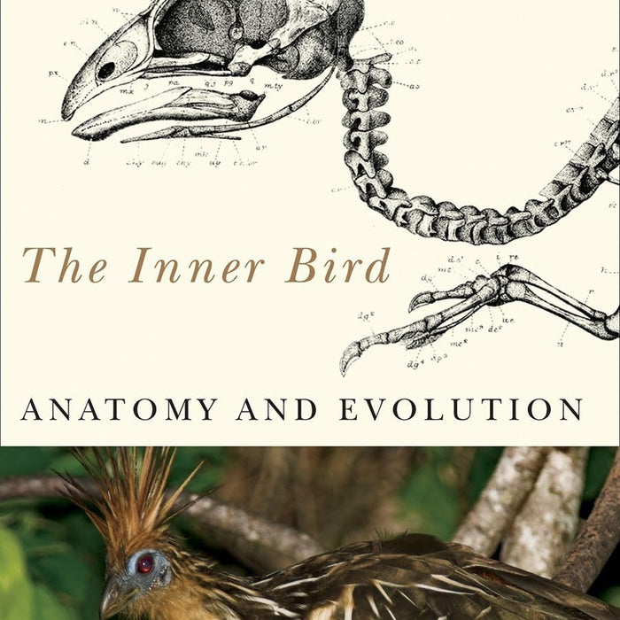 The Inner Bird: Anatomy and Evolution The Inner Bird: Anatomy and Evolution