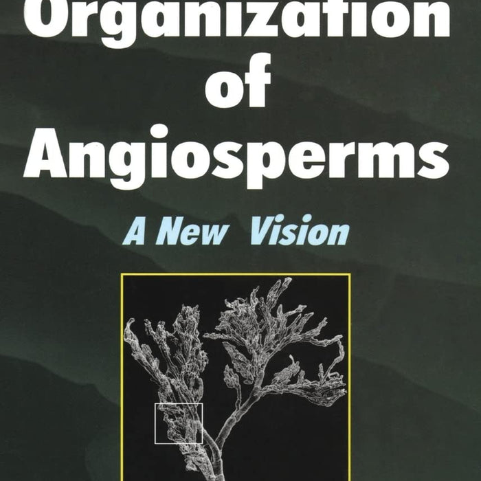 Vascular Organization of Angiosperms: A New Vision  Vascular Organization of Angiosperms: A New Vision