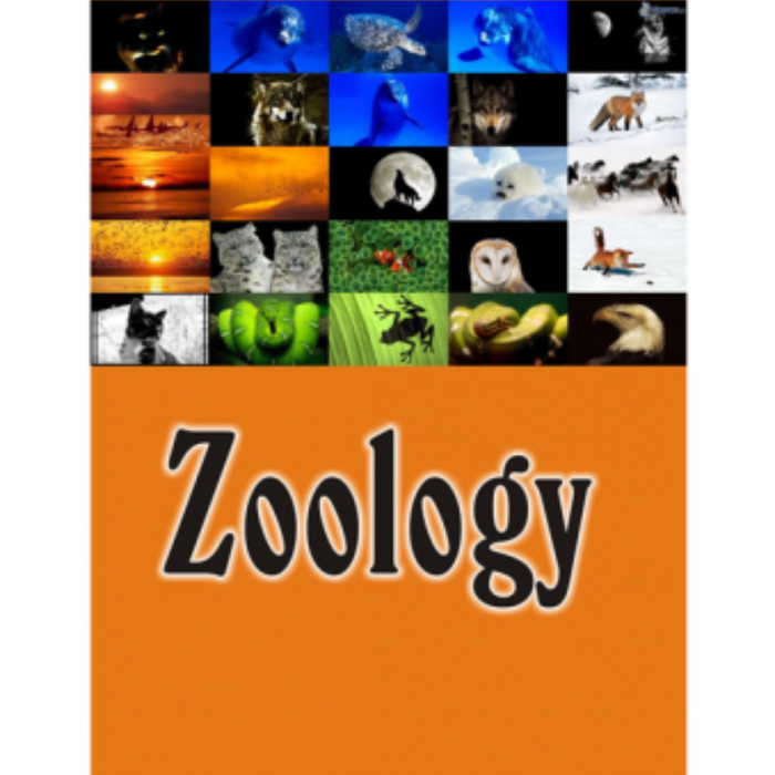 Zoology 4th Edition by Stephen A. Miller  Zoology 4th Edition by Stephen A. Miller