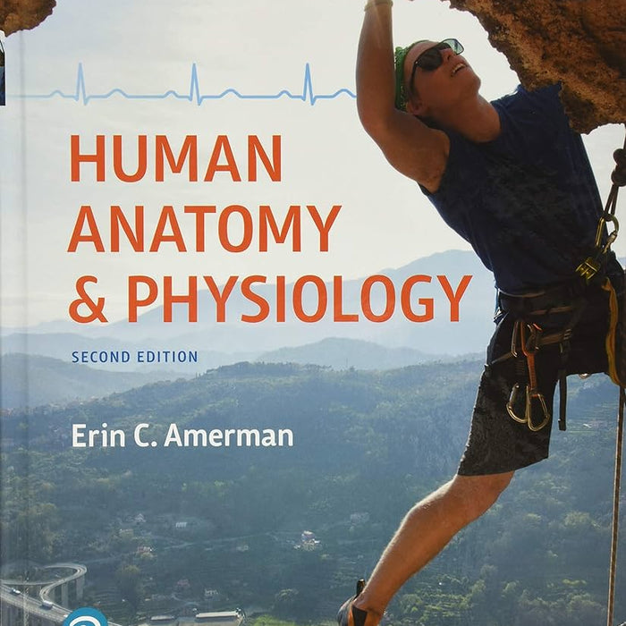 Human Anatomy & Physiology  Human Anatomy & Physiology