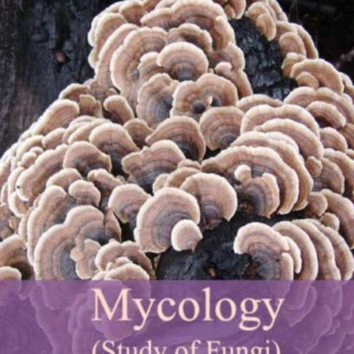 Mycology-Study-of-Fungi-Sheehan-Shawn- Mycology-Study-of-Fungi-Sheehan-Shawn-