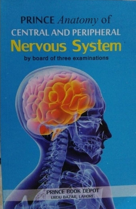 Prince Anatomy Of Central And Peripheral Nervous System Prince Anatomy Of Central And Peripheral Nervous System