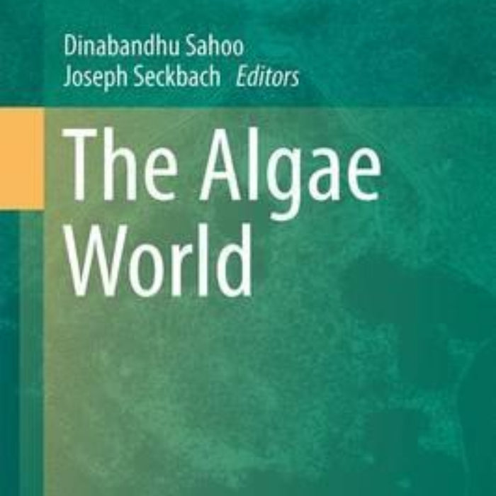The Algae World The Algae World
