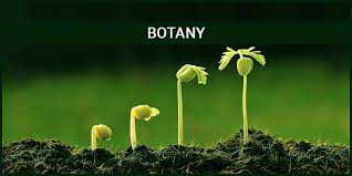 BOTANY