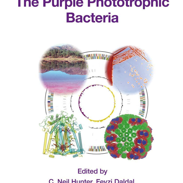 The Purple Phototrophic Bacteria 