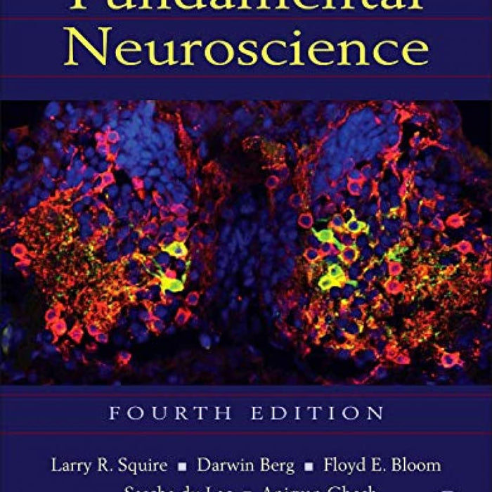 Fundamental Neuroscience 4th Edition by Larry Squire