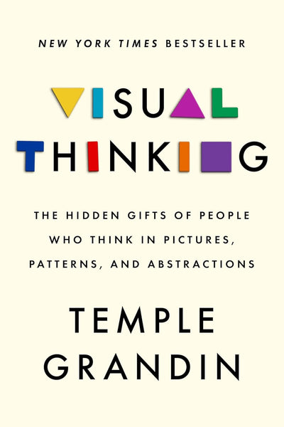  Visual Thinking: The Hidden Gifts of People Who Think in Pictures, Patterns, and Abstractions