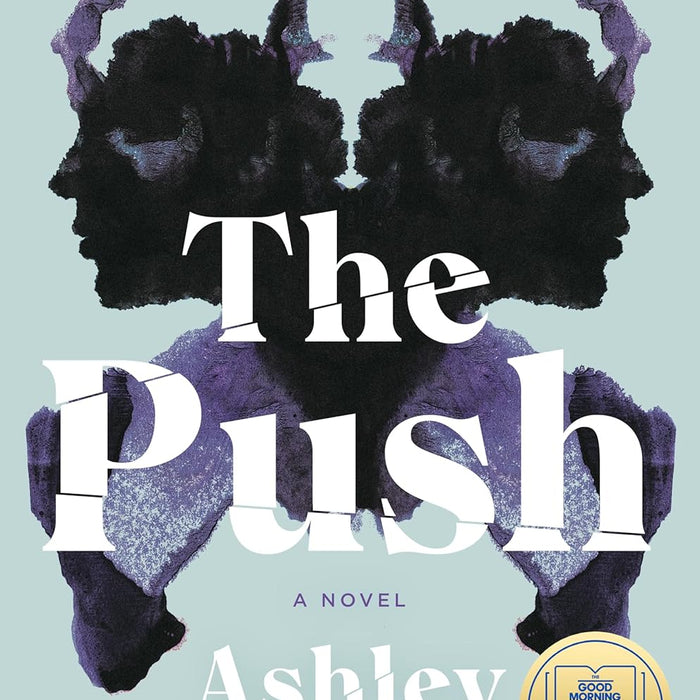 The Push: A Novel 