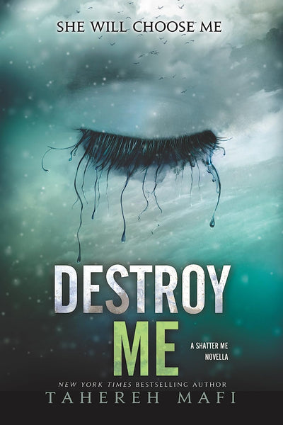 Destroy Me (Shatter Me Book 1)