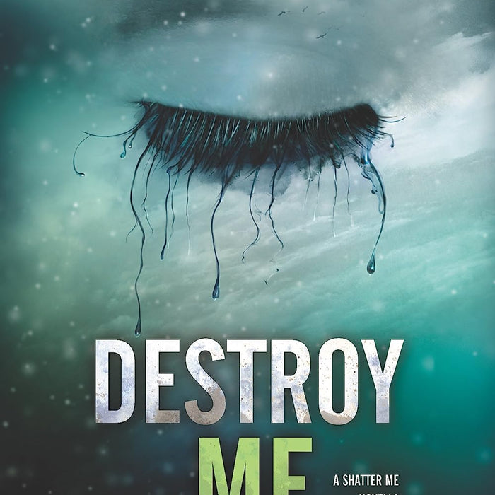 Destroy Me (Shatter Me Book 1)