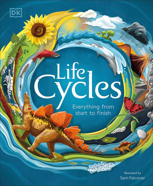 Life Cycles Everything From Start To Finish By DK