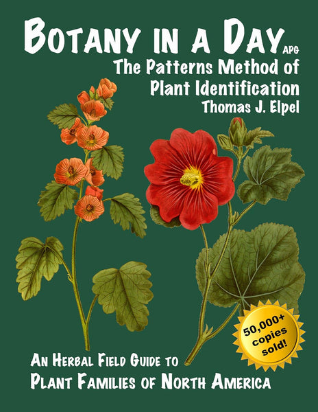 Botany In A Day The Patterns Method Of Plant Identification by Thomas J. Elpel 