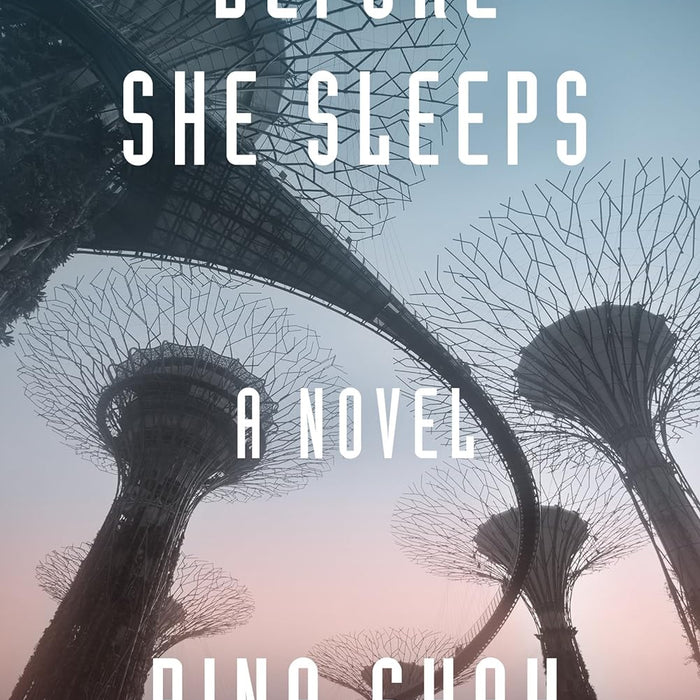 Before She Sleeps by Bina Shah 