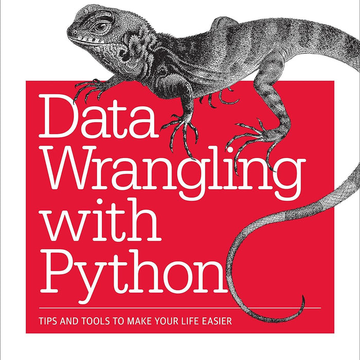  Data Wrangling with Python: Tips and Tools to Make Your Life Easier