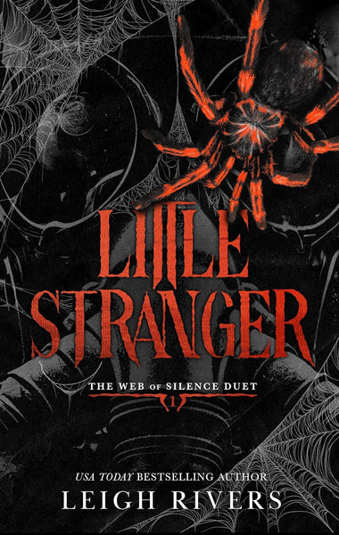 Little Stranger by Leigh Rivers