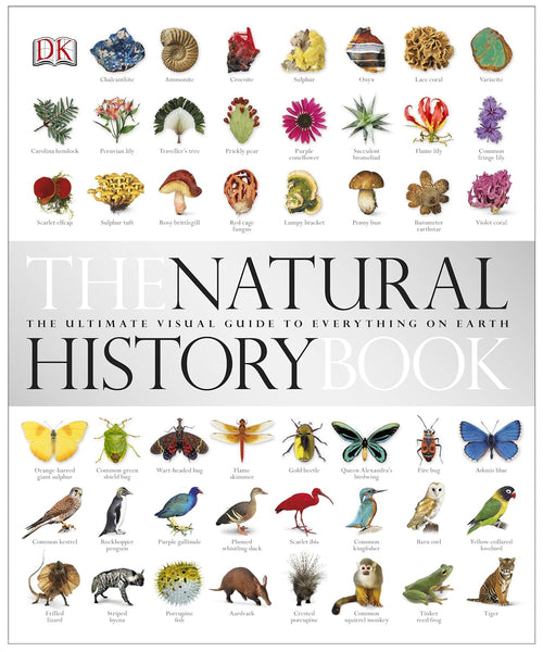 The Natural History Of Everything On Earth By David Burnie