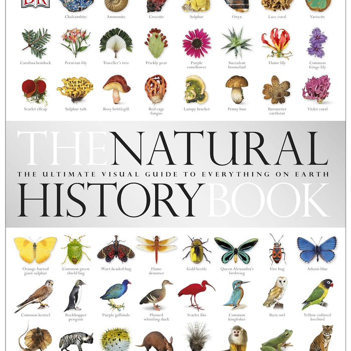 The Natural History Of Everything On Earth By David Burnie