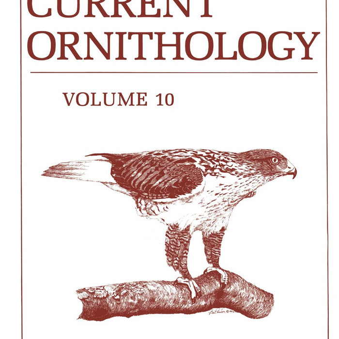 Current Ornithology Volume 10 by Dennis M. Power