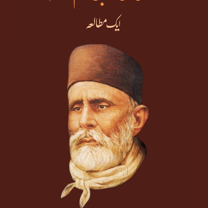 Haali Ki arabi Nazm-O-Nasar: aik Mutaaleaa (Urdu) by khursheed rizvi