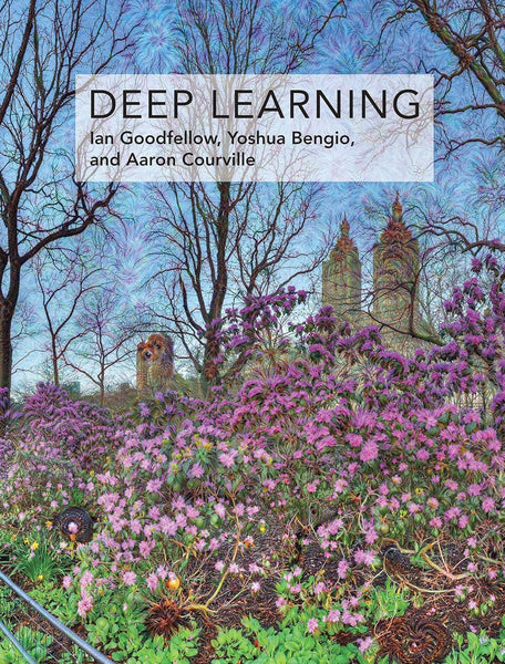 Deep Learning (Adaptive Computation and Machine Learning series)