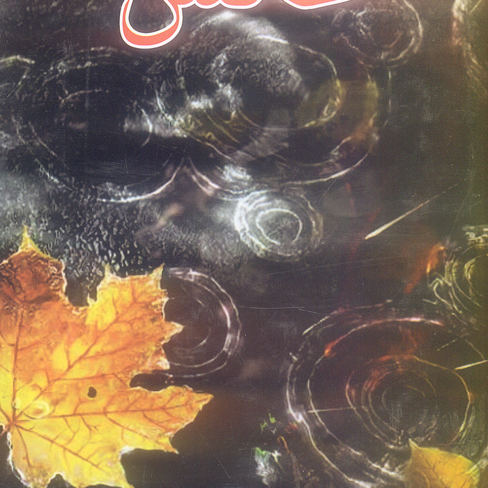Aks - عکس by Uzma Naqvi