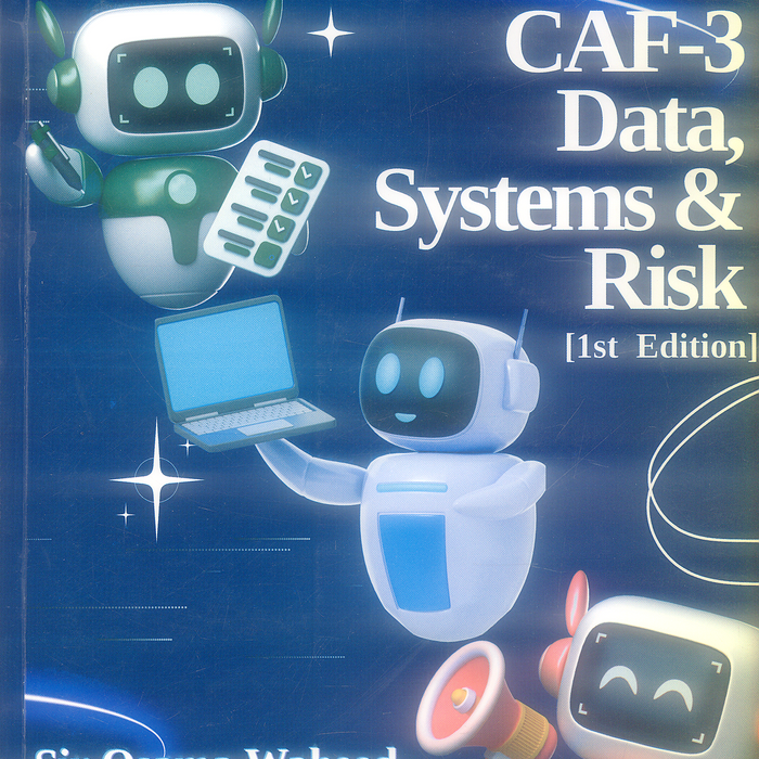 CAF 03 Data Systems And Risk 