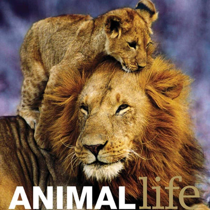 DK Animal Life 