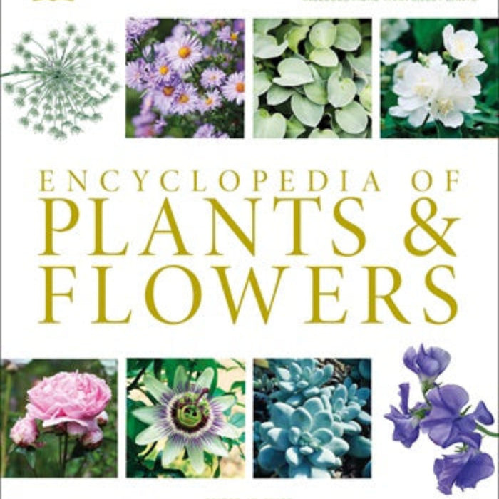 DK Encyclopedia Of Plants And Flowers 