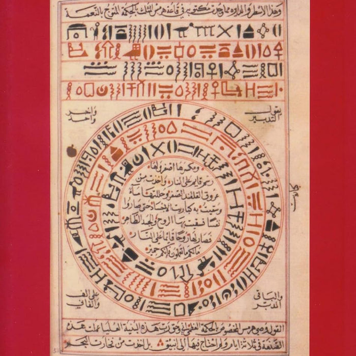 Egyptology: The Missing Millennium: Ancient Egypt in Medieval Arabic Writings