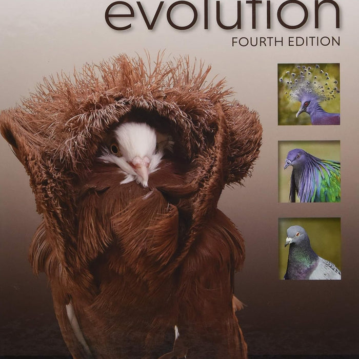 Evolution 4th Edition