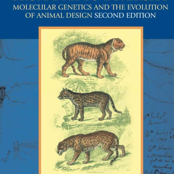 From DNA to Diversity: Molecular Genetics and the Evolution of Animal Design 2nd Edition