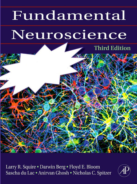 Fundamental Neuroscience 3rd Edition 