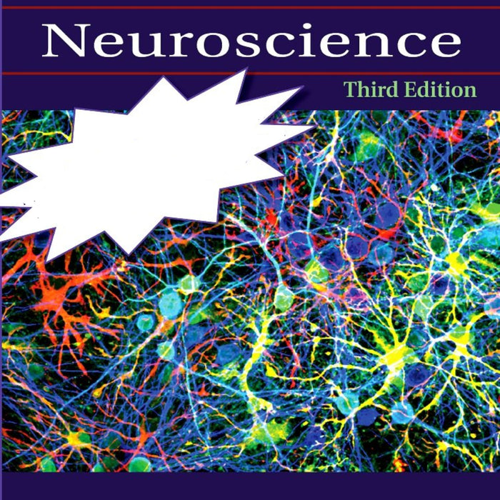 Fundamental Neuroscience 3rd Edition 