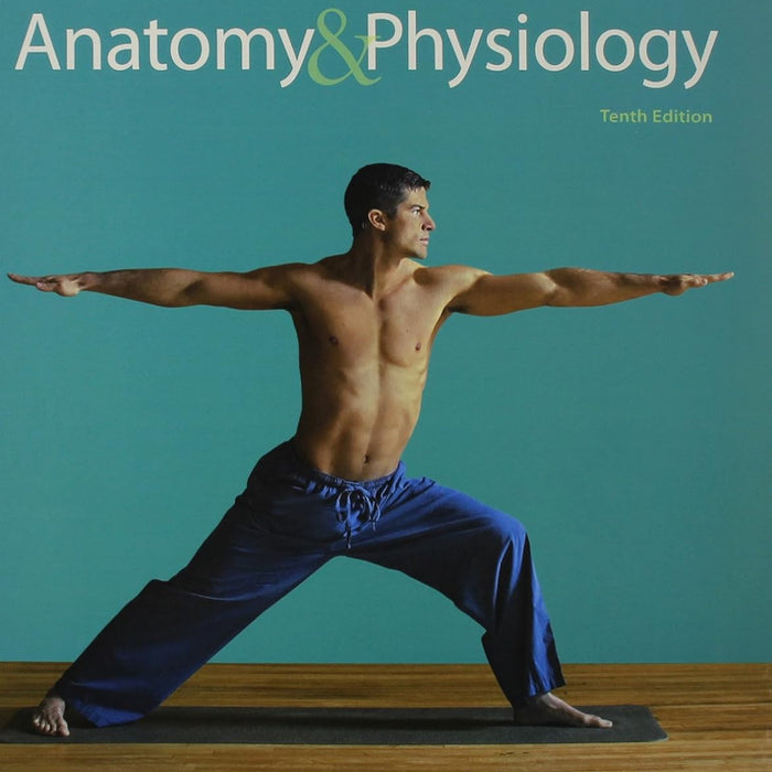 Fundamentals Of Anatomy & Physiology 10th Edition 