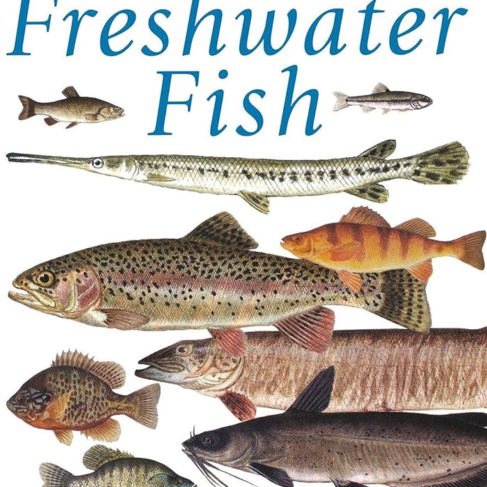 Ken Schultz's Field Guide to Freshwater Fish