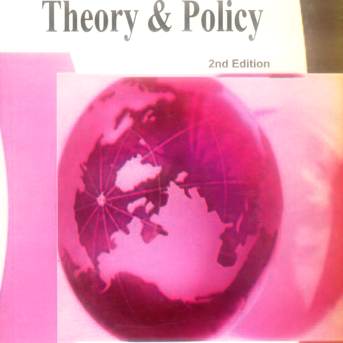 Macroeconomics: Theory and Policy 2nd Edition