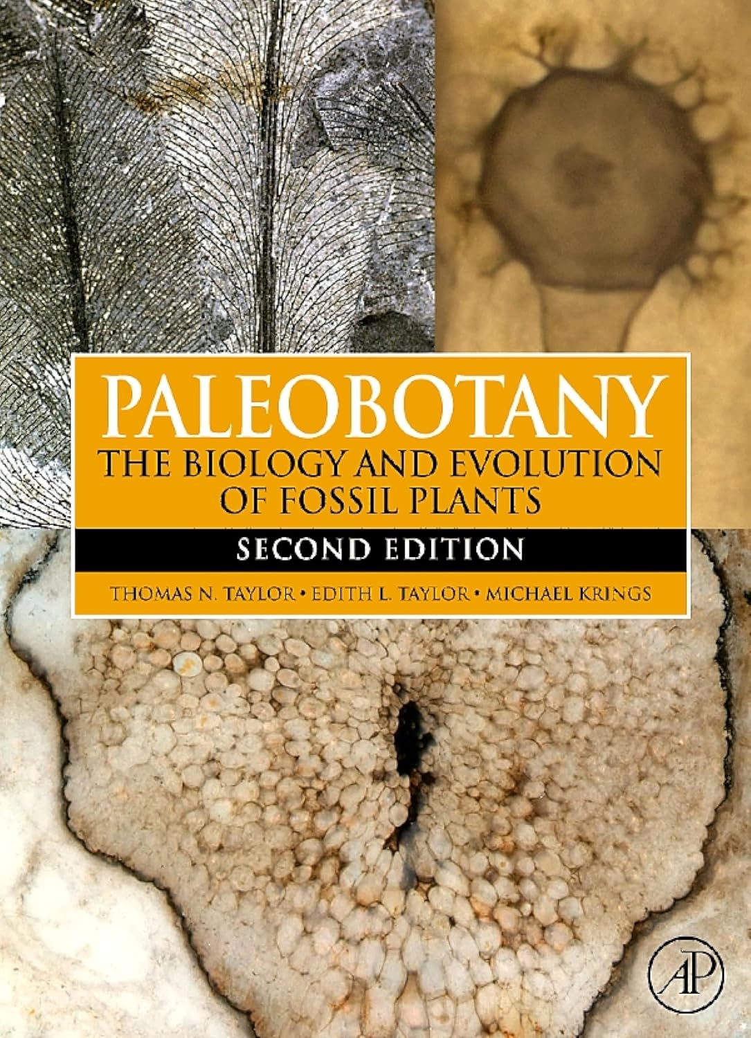 Paleobotany: The Biology and Evolution of Fossil Plants 2nd Edition ...