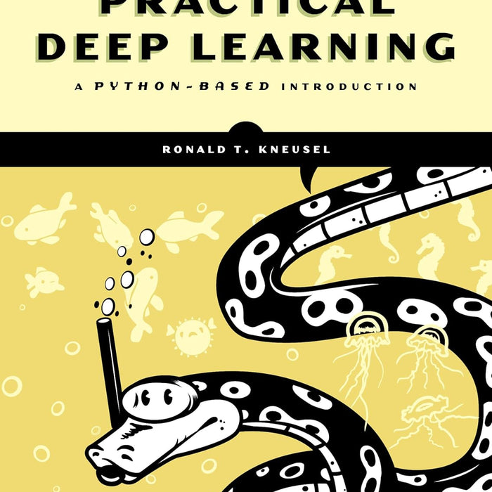 Practical Deep Learning: A Python-Based Introduction 